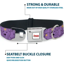 ADVENTURE TIME Title Logo Full Color White Seatbelt Buckle Collar - Adventure Time Lumpy Space Princess Expressions Stacked Lavender