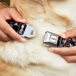 ADVENTURE TIME Title Logo Full Color White Seatbelt Buckle Collar - Adventure Time Marceline Poses Collage Reds