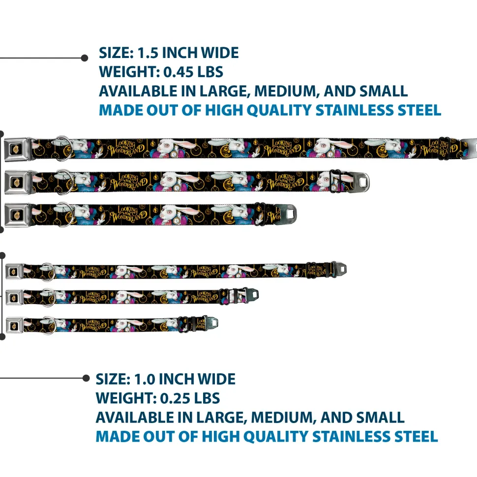 Alice in Wonderland Clock Full Color Black/Gold/White Seatbelt Buckle Collar - White Rabbit Poses LOOKING FOR WONDERLAND/Clocks Black/Golds