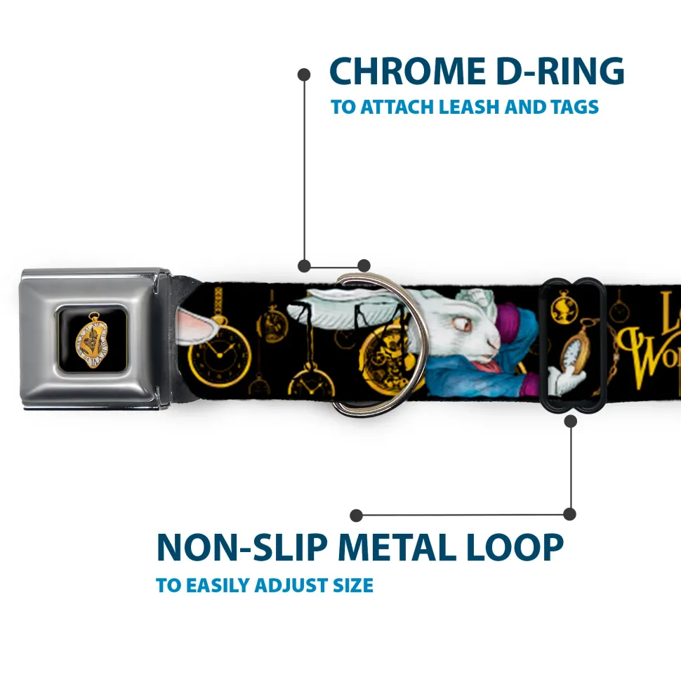 Alice in Wonderland Clock Full Color Black/Gold/White Seatbelt Buckle Collar - White Rabbit Poses LOOKING FOR WONDERLAND/Clocks Black/Golds