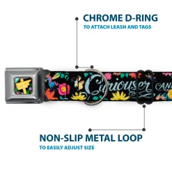 Alice in Wonderland THIS WAY Sign/Flowers Full Color Seatbelt Buckle Collar - CURIOUSER AND CURIOUSER/Flowers of Wonderland Collage