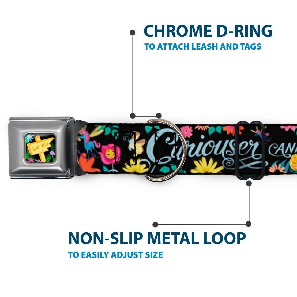 Alice in Wonderland THIS WAY Sign/Flowers Full Color Seatbelt Buckle Collar - CURIOUSER AND CURIOUSER/Flowers of Wonderland Collage