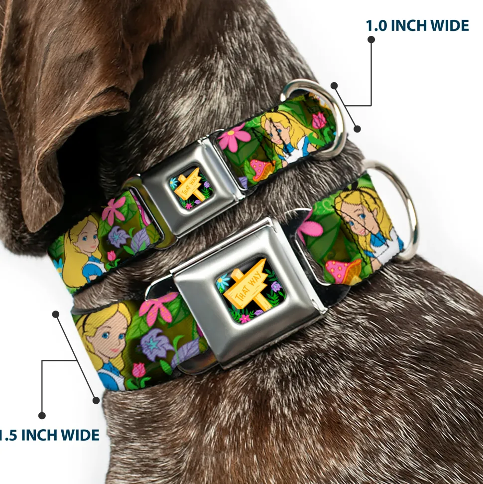 Alice in Wonderland THIS WAY Sign/Flowers Full Color Seatbelt Buckle Collar - Alice & Cheshire Cat Poses/Flowers