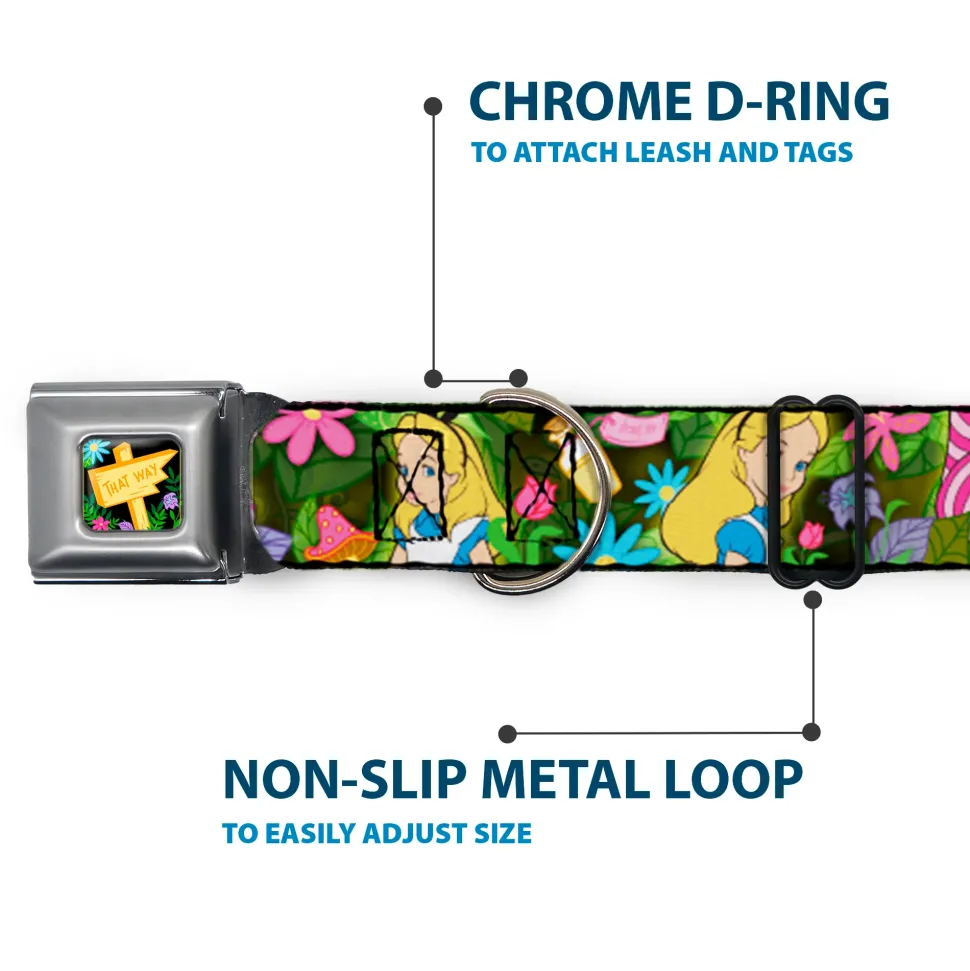 Alice in Wonderland THIS WAY Sign/Flowers Full Color Seatbelt Buckle Collar - Alice & Cheshire Cat Poses/Flowers