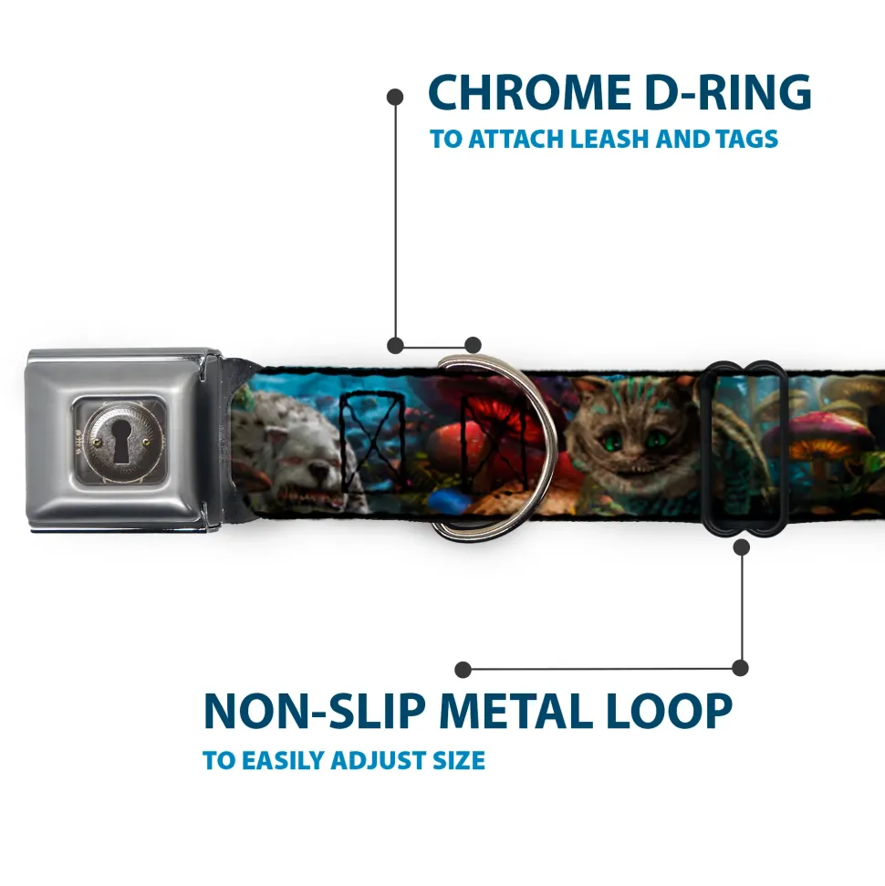 Alice Keyhole Full Color Grays Seatbelt Buckle Collar - Alice in Wonderland Movie Encounters