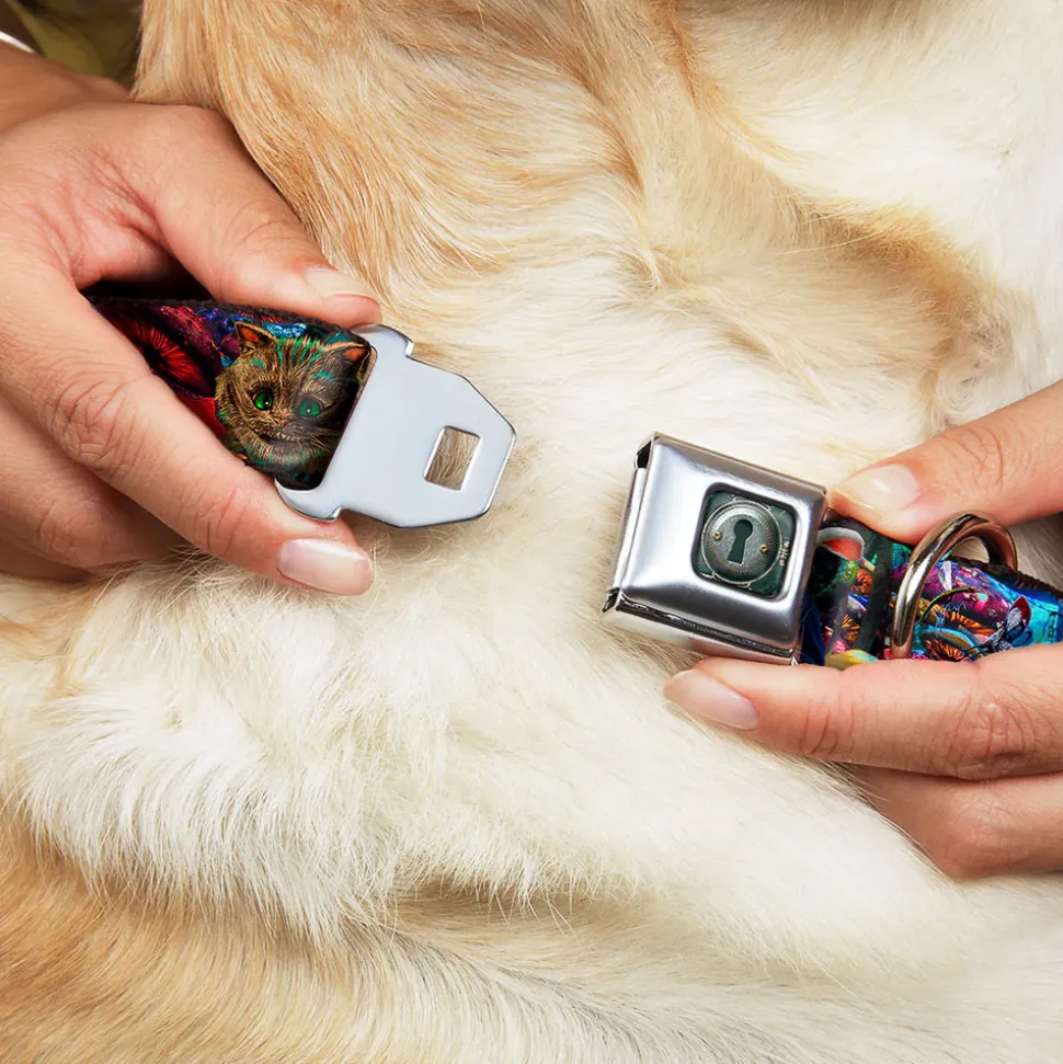 Alice Keyhole Full Color Grays Seatbelt Buckle Collar - Alice in Wonderland Movie Encounters