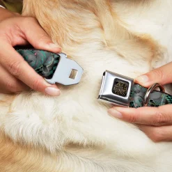 ALICE THROUGH THE LOOKING GLASS Logo Full Color Black/Gold Seatbelt Buckle Collar - Cheshire Cat 4-Poses Checkers Teal/Black