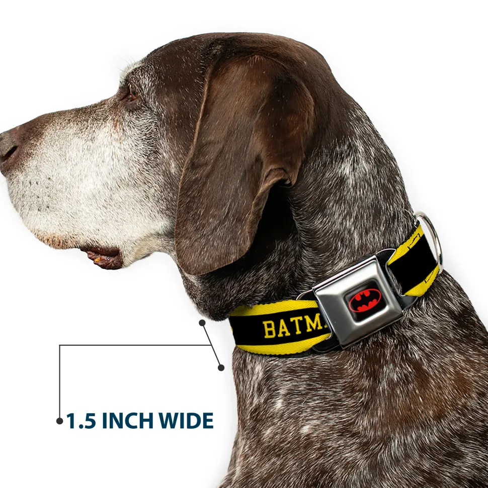Batman Full Color Black Yellow Seatbelt Buckle Collar - BATMAN/Logo Stripe Yellow/Black