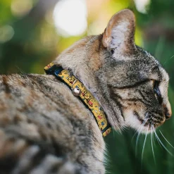 Breakaway Cat Collar with Bell - Winnie the Pooh Happy Poses Golden Yellow