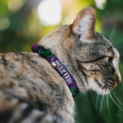 Breakaway Cat Collar with Bell - THE JOKER WANTED Smiling Pose and Graffiti Purples/Greens