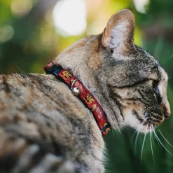 Breakaway Cat Collar with Bell - Cars Lightning McQueen Smiling Pose/95 Reds/White/Orange