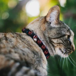 Breakaway Cat Collar with Bell - Deadpool Logo2 Black/Red/White