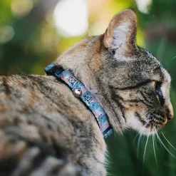 Breakaway Cat Collar with Bell - Baby Stitch Poses Close-Up Baby Blue