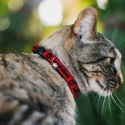 Breakaway Cat Collar with Bell - Star Wars DARTH VADER Text and Galactic Empire Logo Red/Black