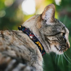 Breakaway Cat Collar with Bell - SPIDER-MAN Title Logo and Action Skyline Poses