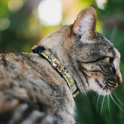 Breakaway Cat Collar with Bell - WINNIE THE POOH and Friends Poses and Title Logos Light Yellow