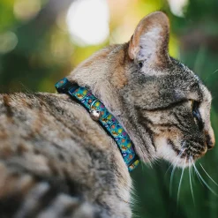 Breakaway Cat Collar with Bell - Finding Nemo and Friends Underwater Character Collage Blue