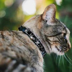 Breakaway Cat Collar with Bell - Batman THE DARK KNIGHT and Joker Smiling Sketch Close-Ups Black/White