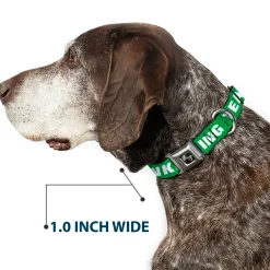 Buckle-Down Seatbelt Buckle Dog Collar - IRISH DRINKING TEAM Green/White