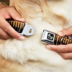 Buckle-Down Seatbelt Buckle Dog Collar - Bullets2 Orange/Black