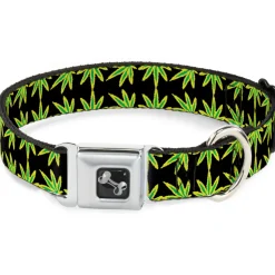 Buckle-Down Seatbelt Buckle Dog Collar - Marijuana Reflection Black/Yellow/Green