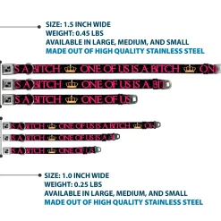 Buckle-Down Seatbelt Buckle Dog Collar - ONE OF US IS A BITCH Crown/Paws Black/Gray/Pink