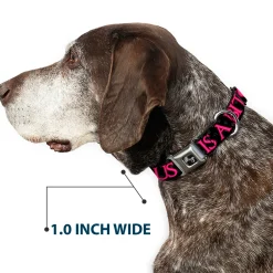 Buckle-Down Seatbelt Buckle Dog Collar - ONE OF US IS A BITCH Crown/Paws Black/Gray/Pink