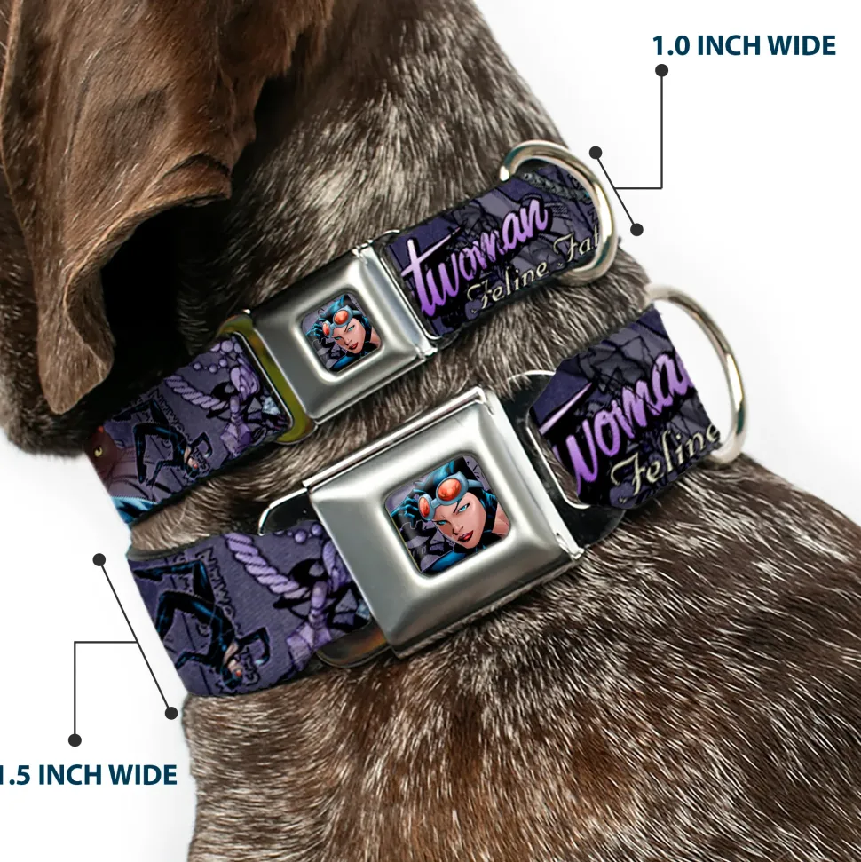 Catwoman Face Full Color Purple Seatbelt Buckle Collar - CATWOMAN-NINE LIVES OF A FELINE FATALE Pose2/Jewelry/Black Cat Purples