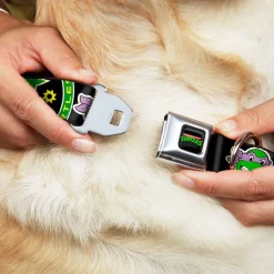 Classic TEENAGE MUTANT NINJA TURTLES Logo Seatbelt Buckle Collar - Classic Teenage Mutant Ninja Turtles Group Faces/TMNT/Ninja Star Black/Green