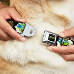 Classic TEENAGE MUTANT NINJA TURTLES Logo Seatbelt Buckle Collar - Teenage Mutant Ninja Turtles Faces and Icons Black/Multi Color