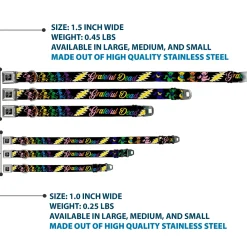 Dancing Bear Black/Silver Seatbelt Buckle Collar - Grateful Dead Script w/Bears & Skeletons Black/Multi Color