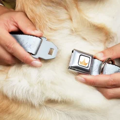 Disney Princess Crown Full Color Golds Seatbelt Buckle Collar - Frozen Elsa Snowflake Pose with Trees and Script Blues/Purples