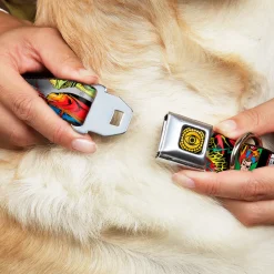 DOCTOR STRANGE MOVIE Doctor Strange Eye of Agamotto Full Color Black Gold Seatbelt Buckle Collar - Classic DOCTOR STRANGE Comic Book Title/4-Poses