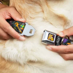 Dog & Cat Pose Full Color Seatbelt Buckle Collar - CatDog Party/Balloons/CATDOG Logo Gray/Black/Multi Color