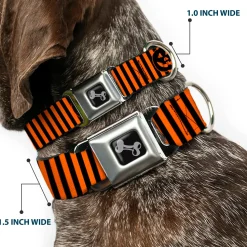 Dog Bone Black/Silver Seatbelt Buckle Collar - Jack-o'-Lantern Pumpkin Stripe Orange/Black