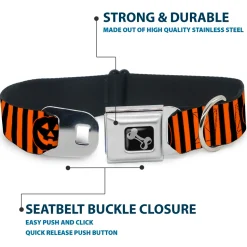 Dog Bone Black/Silver Seatbelt Buckle Collar - Jack-o'-Lantern Pumpkin Stripe Orange/Black