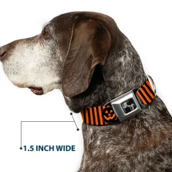 Dog Bone Black/Silver Seatbelt Buckle Collar - Jack-o'-Lantern Pumpkin Stripe Orange/Black