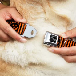 Dog Bone Black/Silver Seatbelt Buckle Collar - Jack-o'-Lantern Pumpkin Stripe Orange/Black
