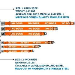 Dog Bone Black/Silver Seatbelt Buckle Collar - Pet Quote NO DOGS Orange/White