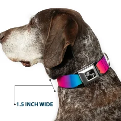 Dog Bone Black/Silver Seatbelt Buckle Collar - Rainbow Ombre