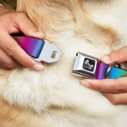 Dog Bone Black/Silver Seatbelt Buckle Collar - Rainbow Ombre