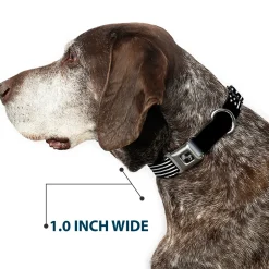 Dog Bone Black/Silver Seatbelt Buckle Collar - Americana Flag/WE THE PEOPLE Black/White