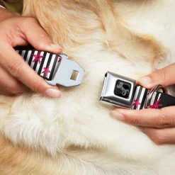 Dog Bone Black/Silver Seatbelt Buckle Collar - Love Me w/Sketch Stars & Stripes Black/White/Fuchsia