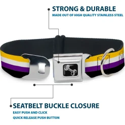 Dog Bone Black/Silver Seatbelt Buckle Collar - Flag Non-Binary Stripe