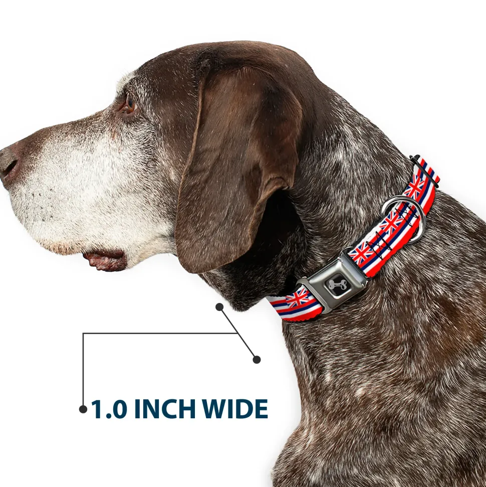 Dog Bone Black/Silver Seatbelt Buckle Collar - Hawaii Flag Continuous Repeat