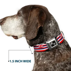 Dog Bone Black/Silver Seatbelt Buckle Collar - Hawaii Flag Continuous Repeat