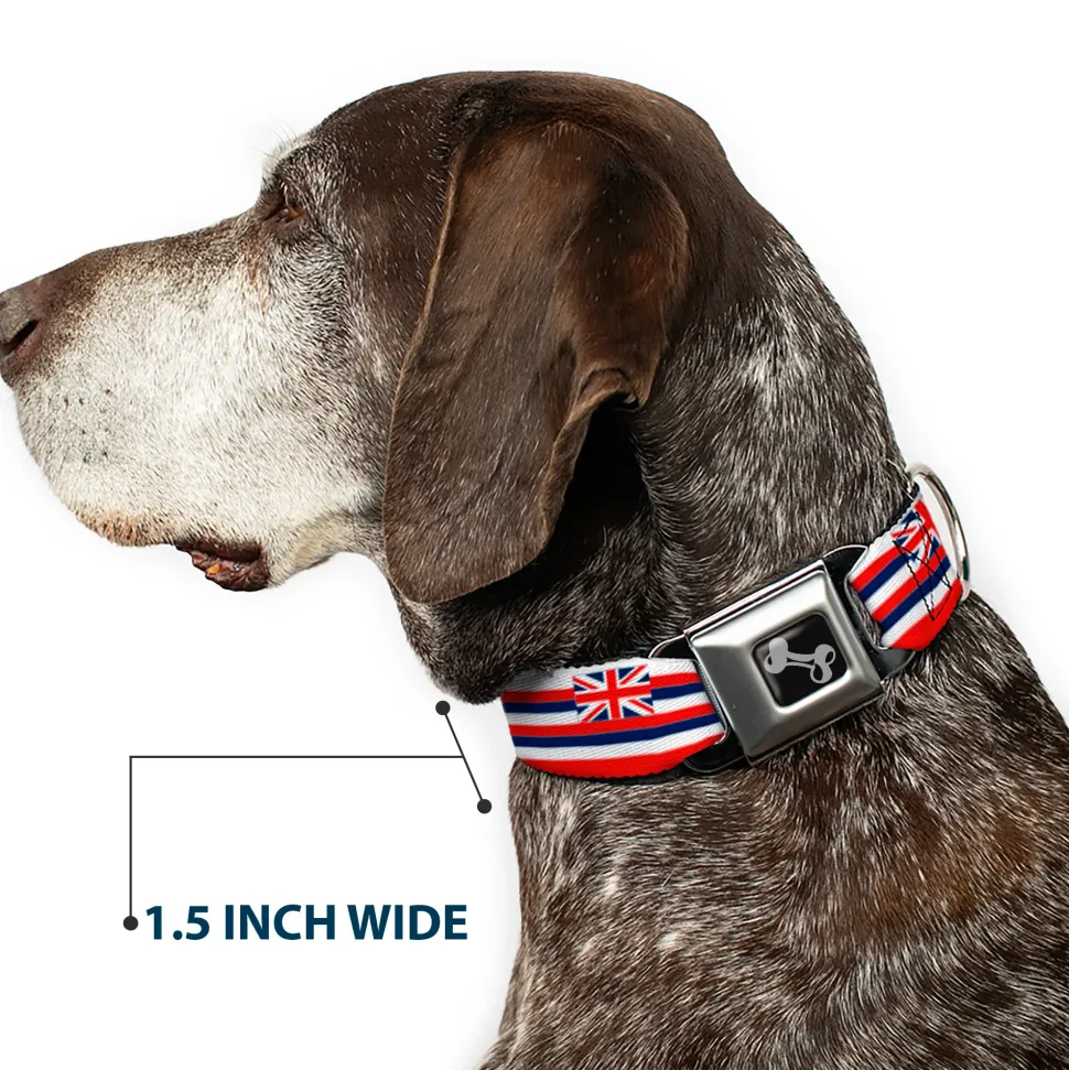 Dog Bone Black/Silver Seatbelt Buckle Collar - Hawaii Flag Continuous Repeat