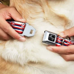 Dog Bone Black/Silver Seatbelt Buckle Collar - Hawaii Flag Continuous Repeat