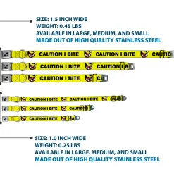 Dog Bone Black/Silver Seatbelt Buckle Collar - Pet Quote CAUTION I BITE/Dog Growl Yellow/Black