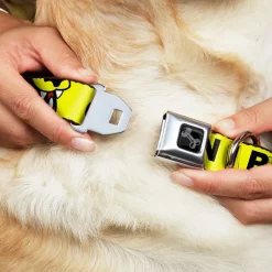 Dog Bone Black/Silver Seatbelt Buckle Collar - Pet Quote CAUTION I BITE/Dog Growl Yellow/Black